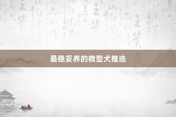 最稳妥养的微型犬推选